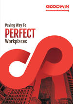 Petro6 brochure design