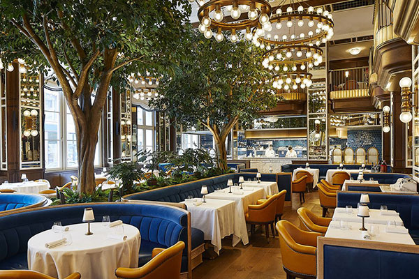 Website Development Company Cameron Highlands