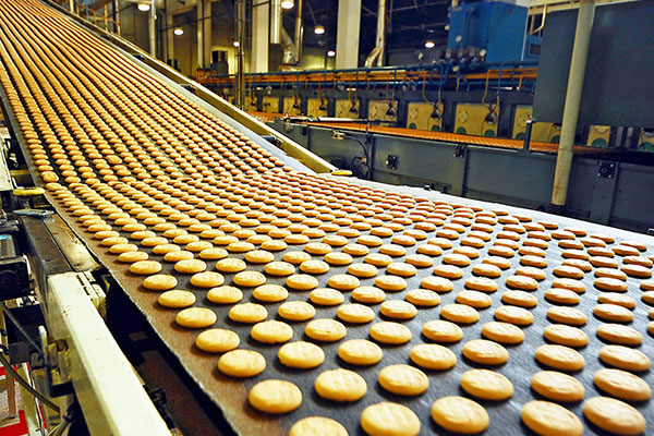 Responsive Web Design Cameron Highlands