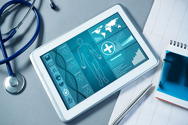 Ecommerce Website Design Cameron Highlands