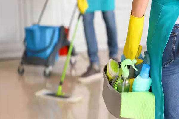 Responsive Web Design George Town