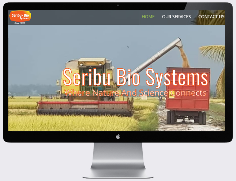 Seribubio Web Design